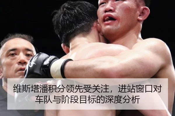 维斯塔潘积分领先受关注，进站窗口对车队与阶段目标的深度分析