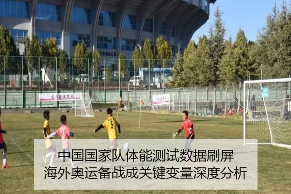 中国国家队体能测试数据刷屏 海外奥运备战成关键变量深度分析